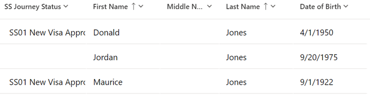 record search results view